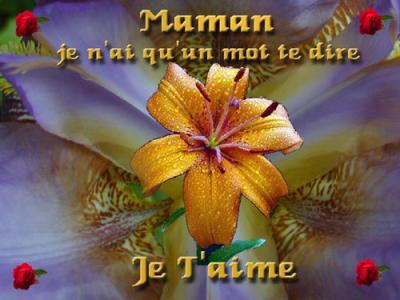 jtm maman car c toi ki ma ft .